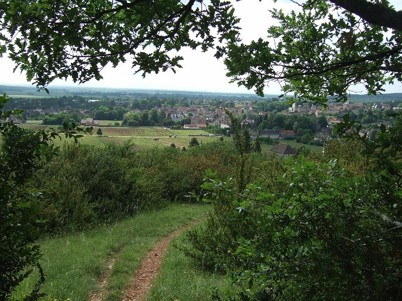 2010-05- (30).JPG